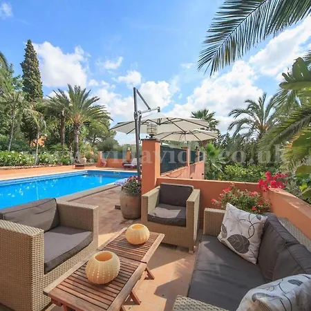 Palmeras Villa Pòrtol