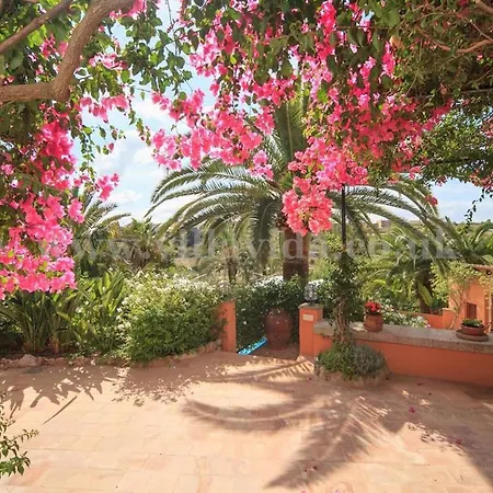 Palmeras Villa