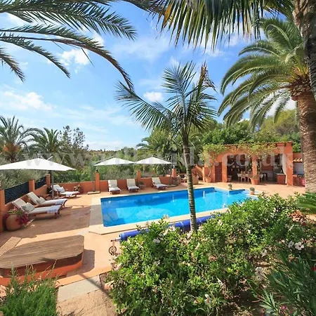 Palmeras Villa Pòrtol